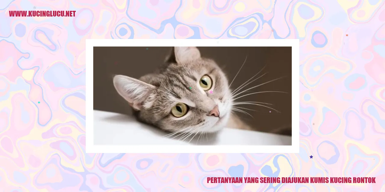 Kumis Kucing Rontok