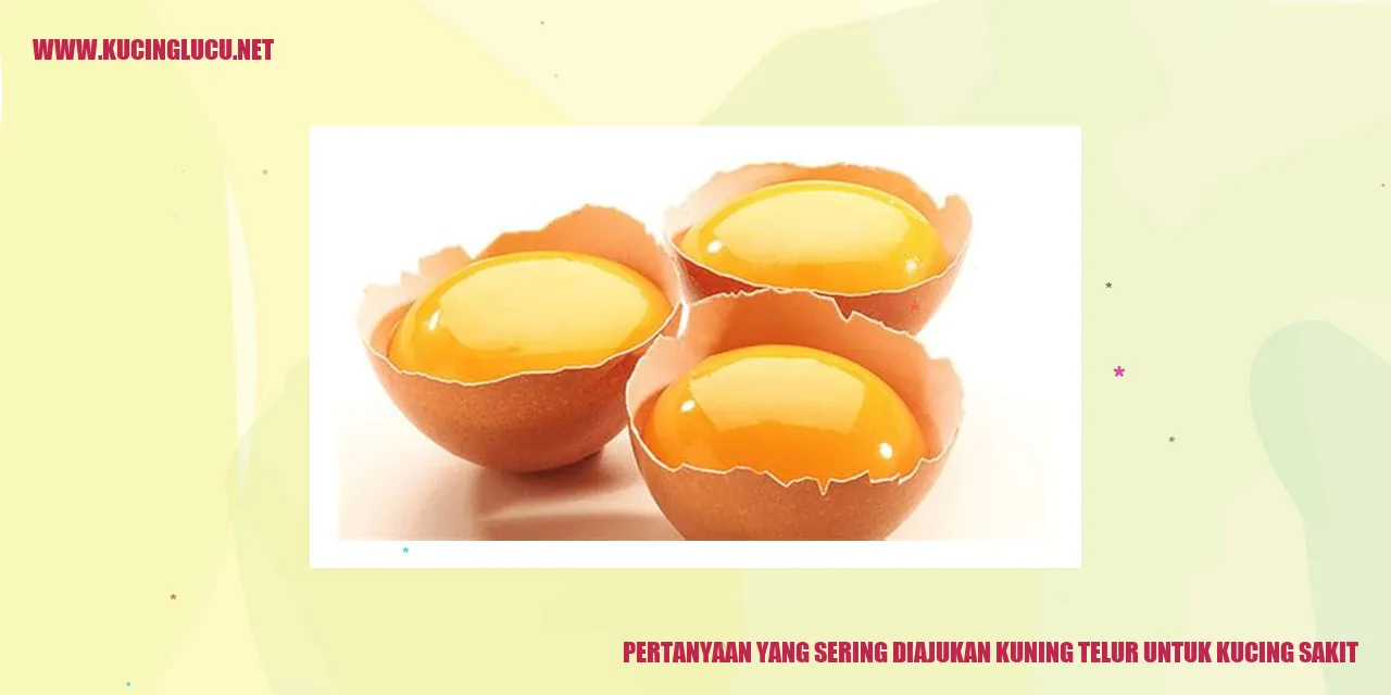 Pertanyaan yang Sering Diajukan tentang Kuning Telur untuk Kucing Sakit