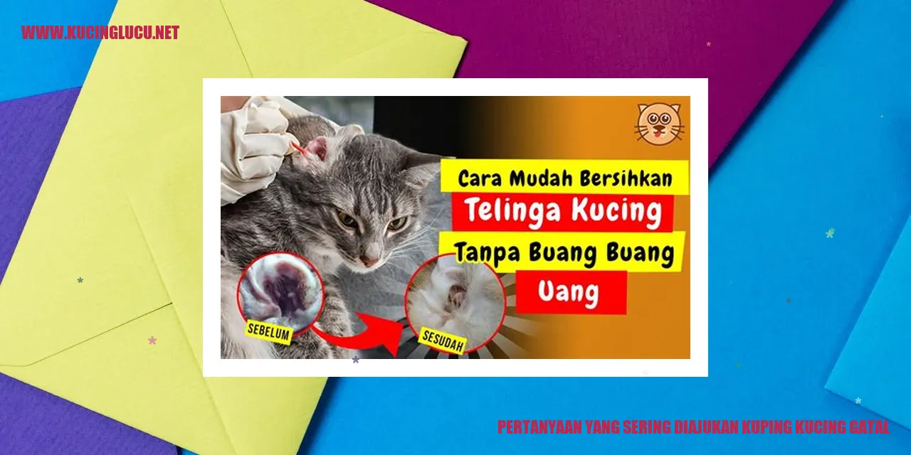 Kucing dengan kuping gatal