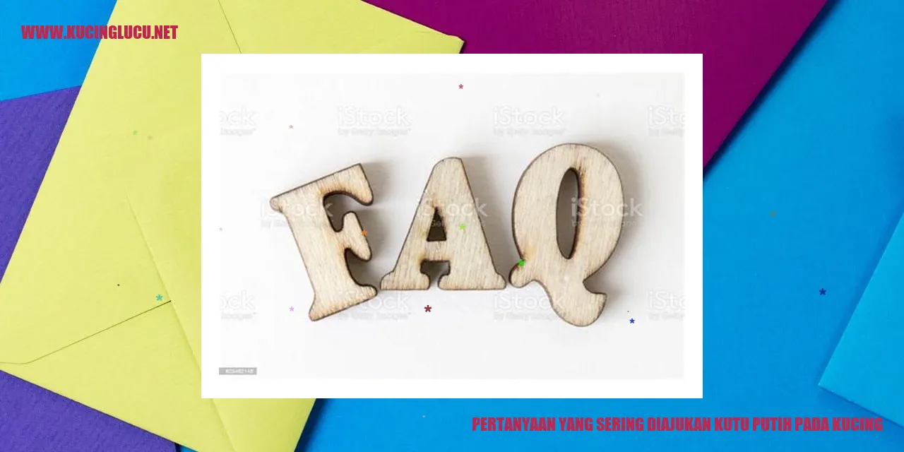 Kutu Putih pada Kucing