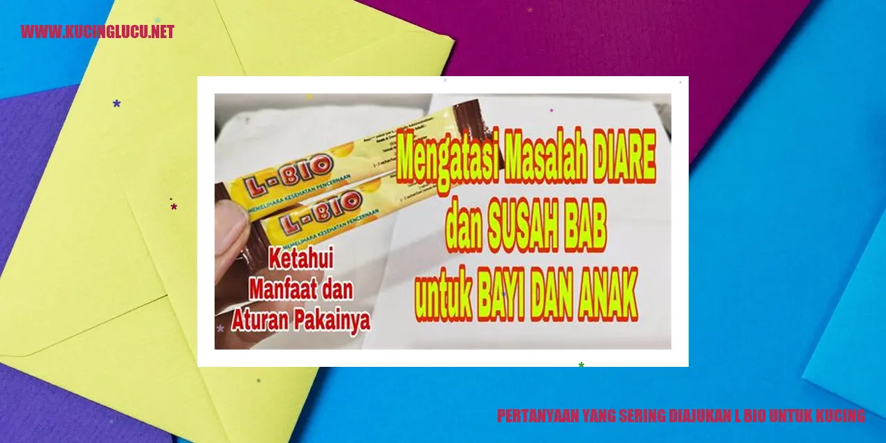 Kucing yang mengintip