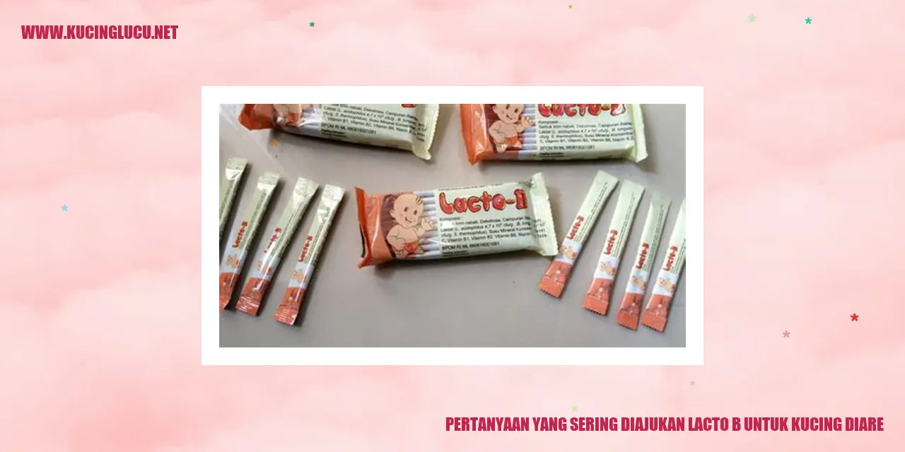 Pertanyaan yang Sering Diajukan Lacto B untuk Kucing Diare