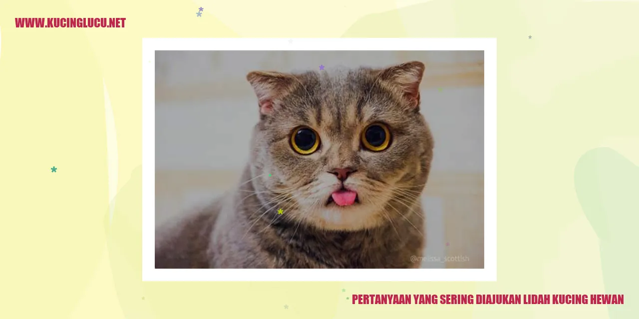 Pertanyaan yang Sering Diajukan lidah kucing hewan
