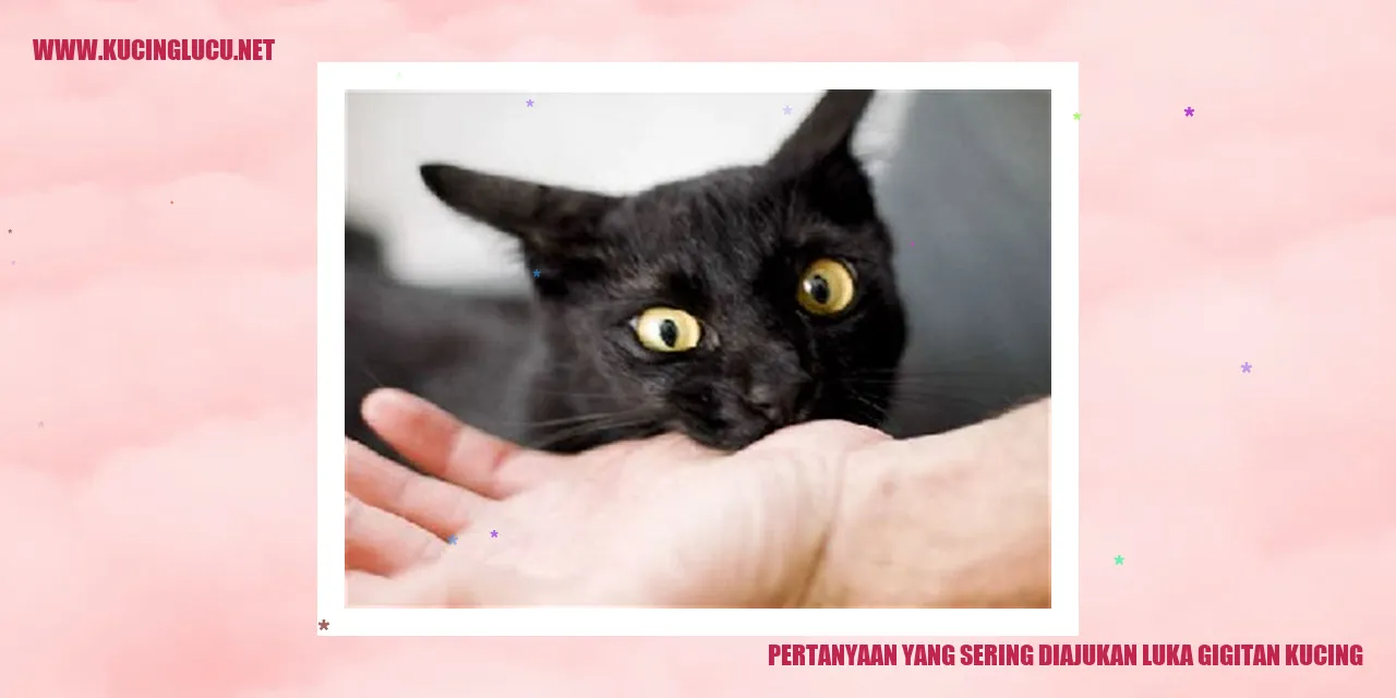Gambar pertanyaan tentang luka gigitan kucing
