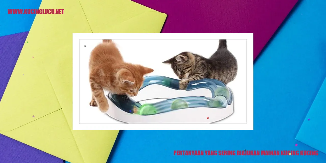 Pertanyaan yang Sering Diajukan mainan kucing kucing