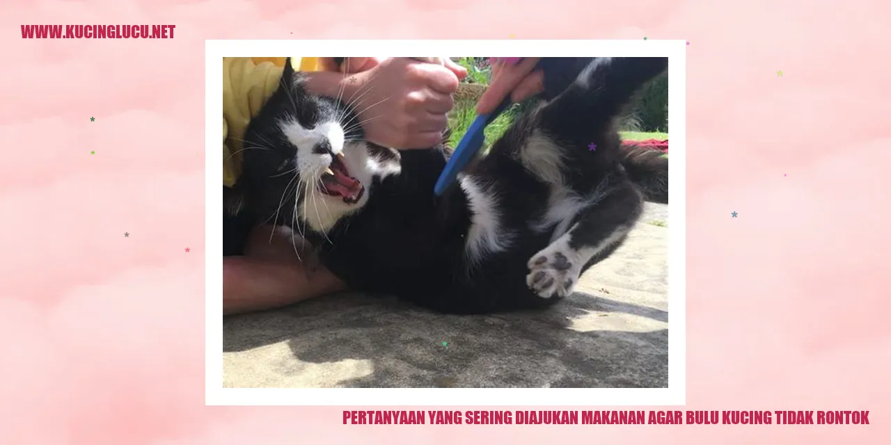 Pertanyaan yang Sering Diajukan mengenai Makanan agar Bulu Kucing tidak Rontok
