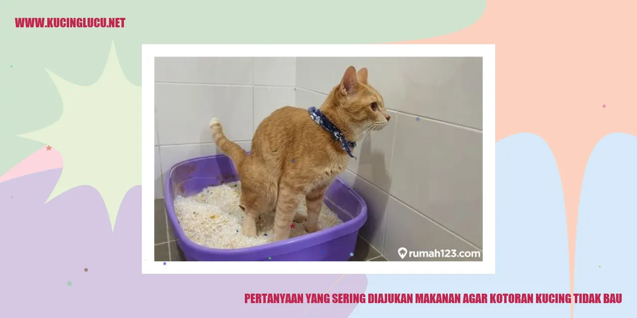 Pertanyaan yang Sering Diajukan makanan agar kotoran kucing tidak bau
