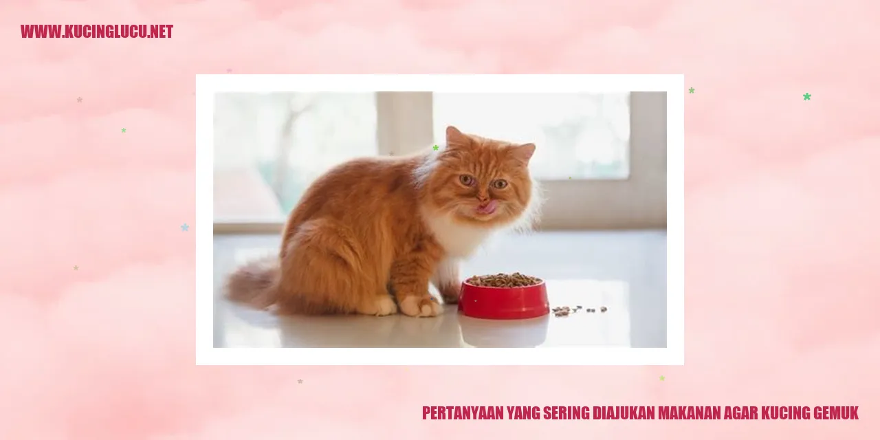 Gambar Pertanyaan yang Sering Diajukan makanan agar kucing gemuk