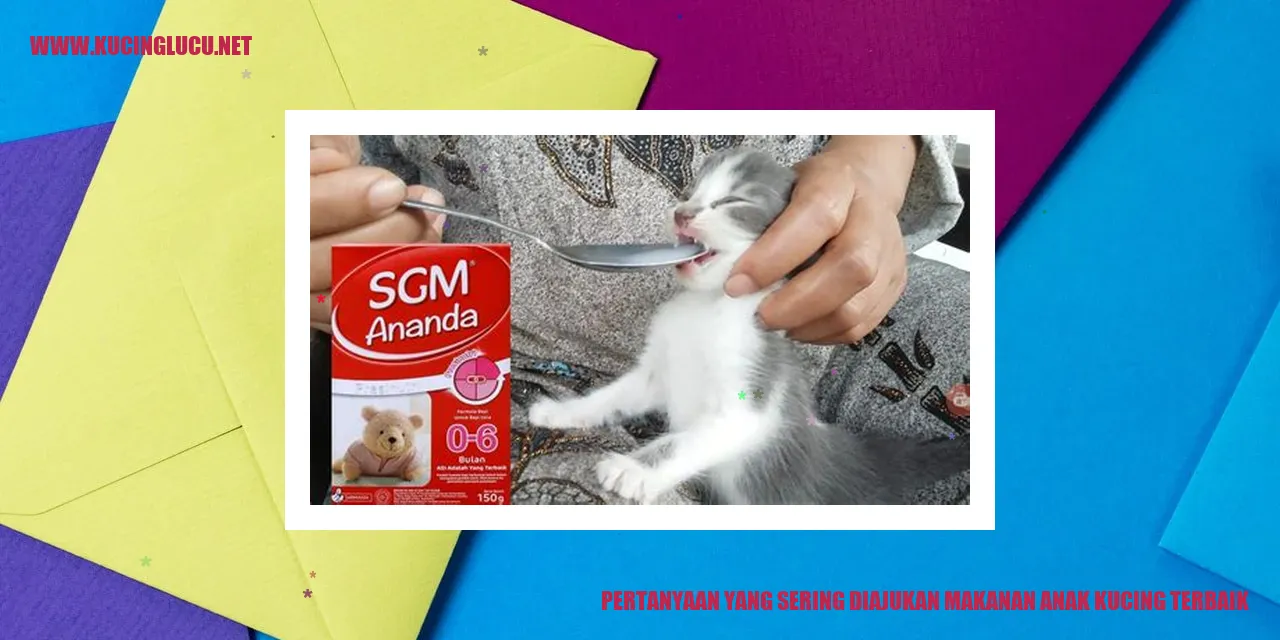 Makanan Sehat untuk Anak Kucing