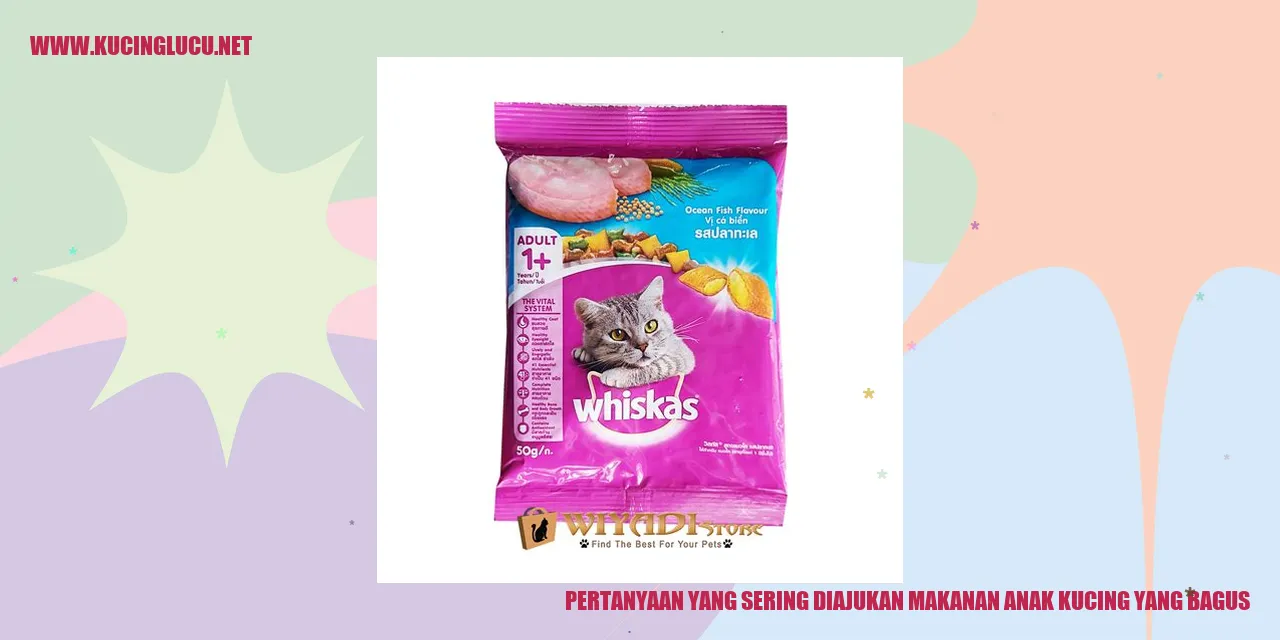 Pertanyaan yang Sering Diajukan tentang Makanan Anak Kucing yang Bagus