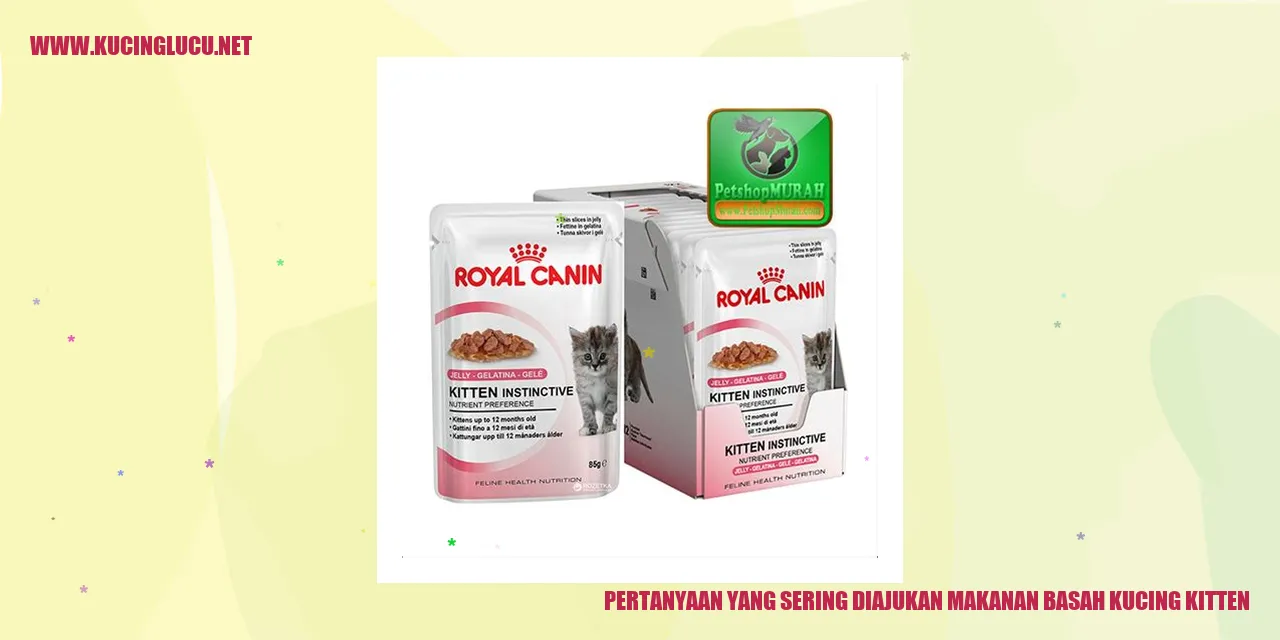 Pertanyaan yang Sering Diajukan makanan basah kucing kitten