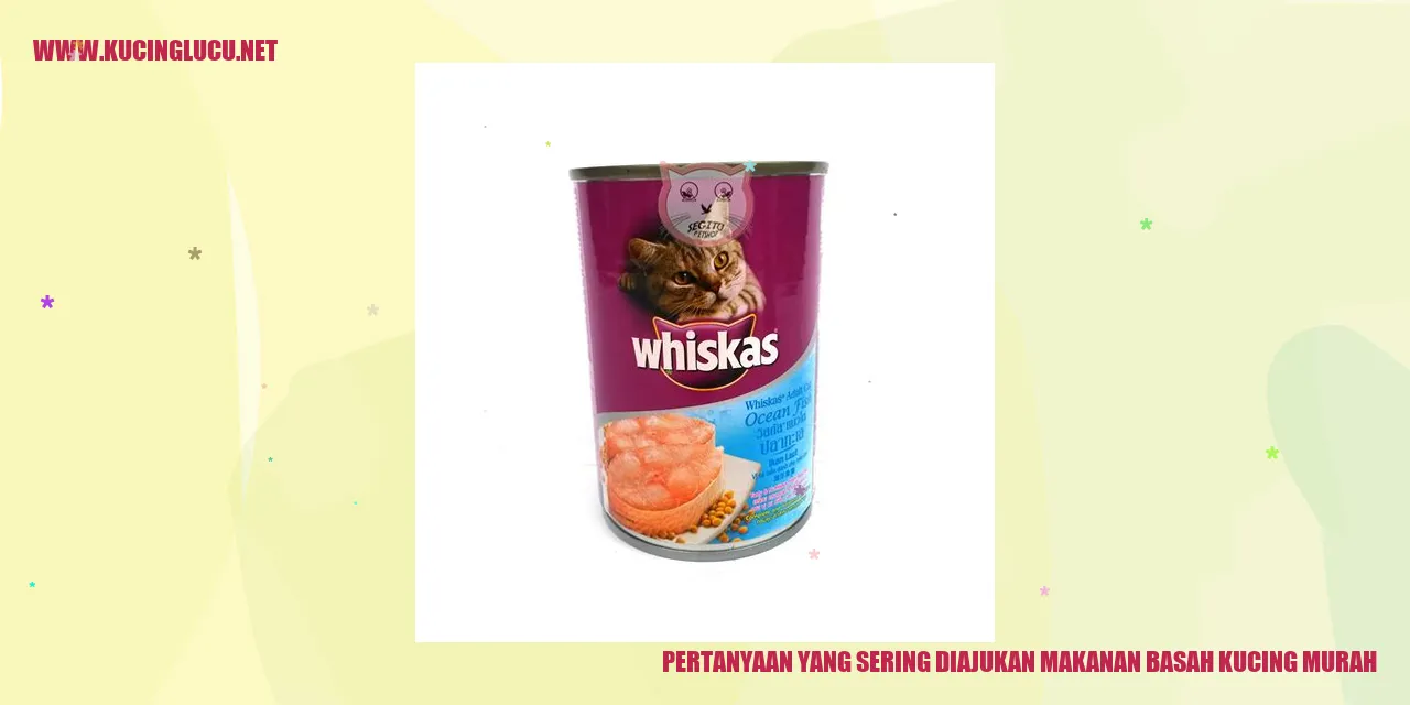 Gambar Pertanyaan yang Sering Diajukan makanan basah kucing murah