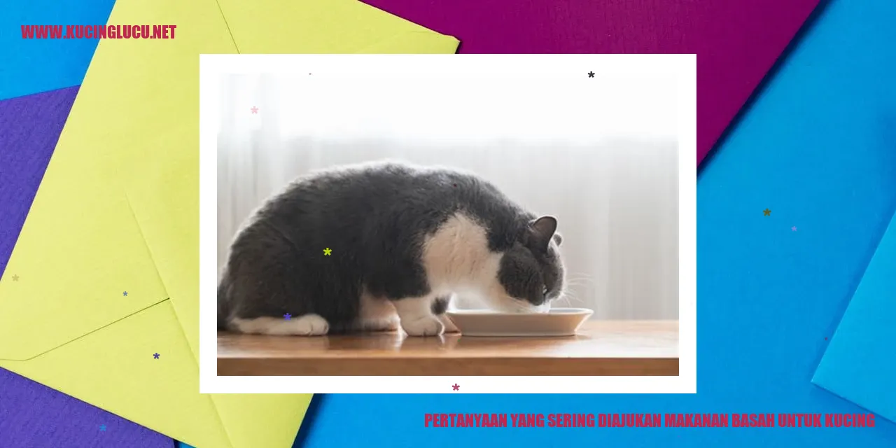 Pertanyaan yang Sering Diajukan makanan basah untuk kucing