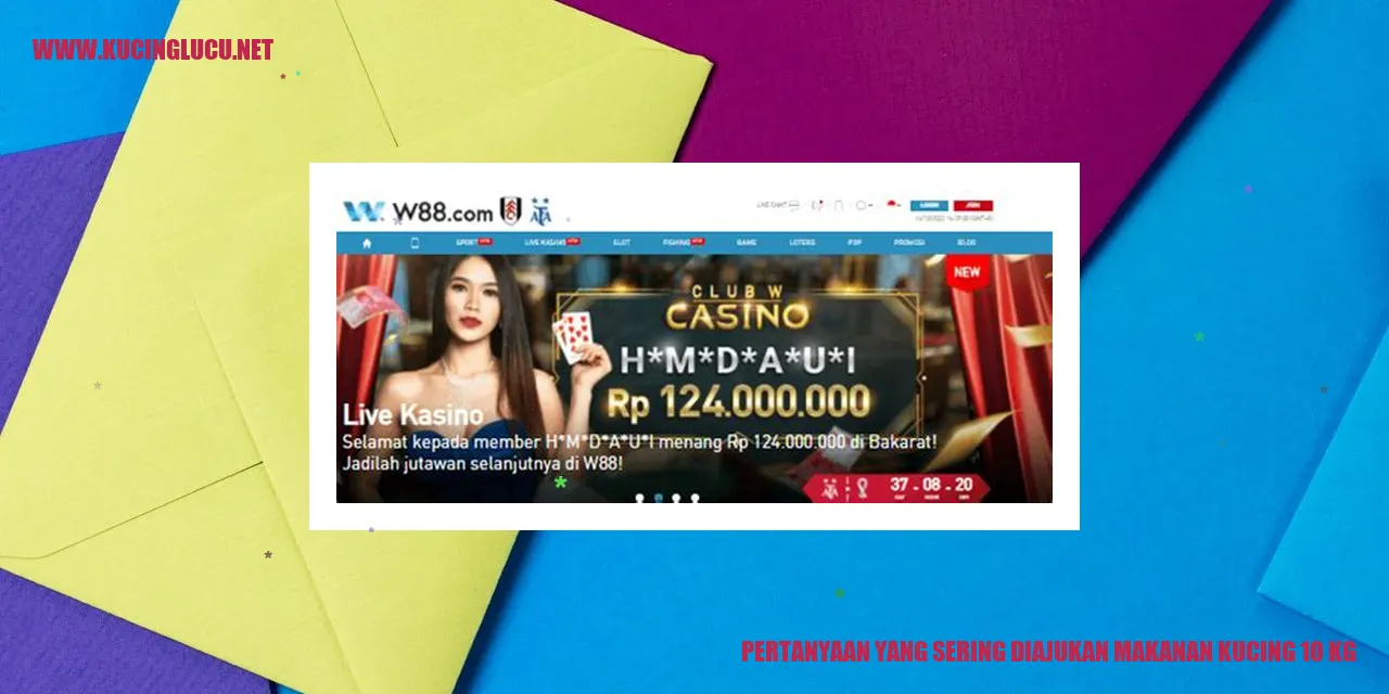 Ilustrasi Kucing
