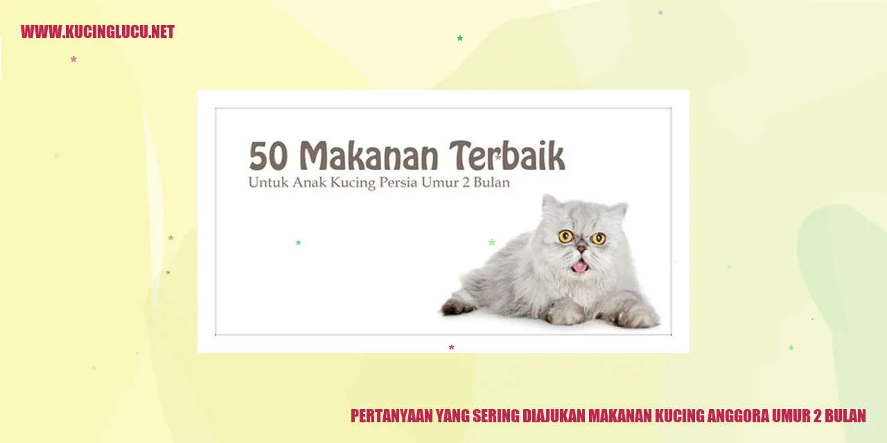 Pertanyaan yang Sering Diajukan makanan kucing anggora umur 2 bulan