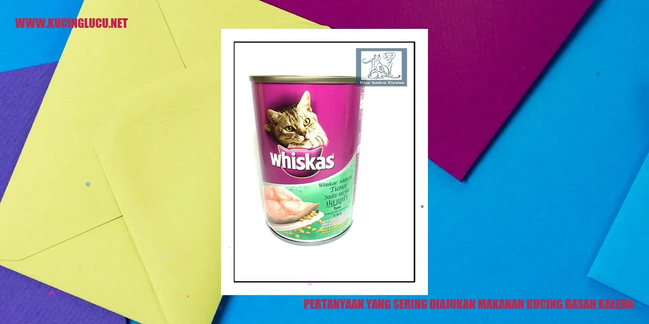 Ilustrasi Pertanyaan yang Sering Diajukan tentang Makanan Kucing Basah Kaleng