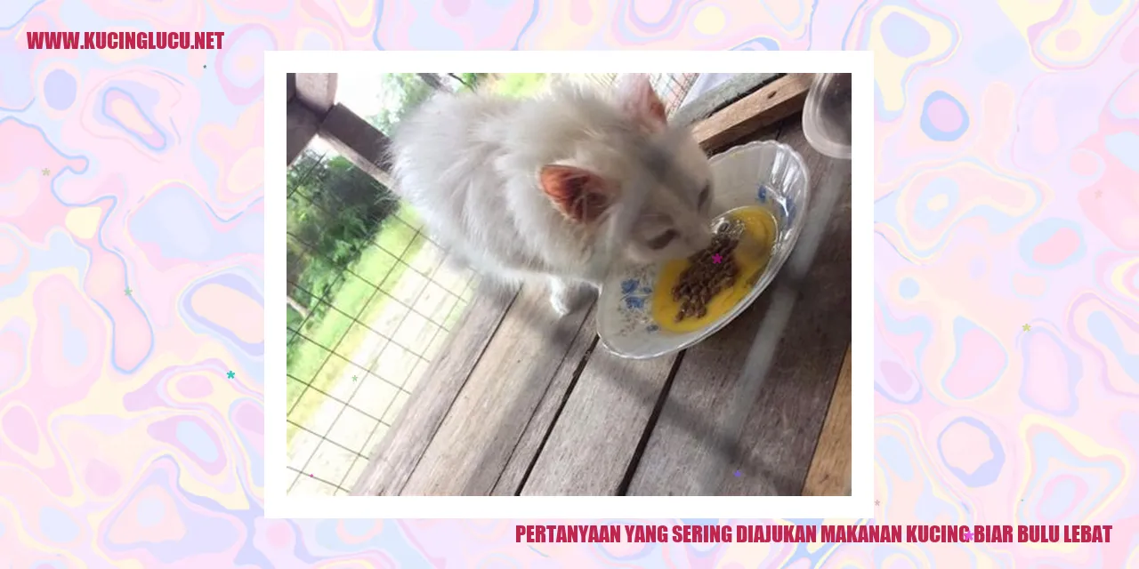 Pertanyaan yang Sering Diajukan Mengenai Makanan Kucing agar Bulu Lebat