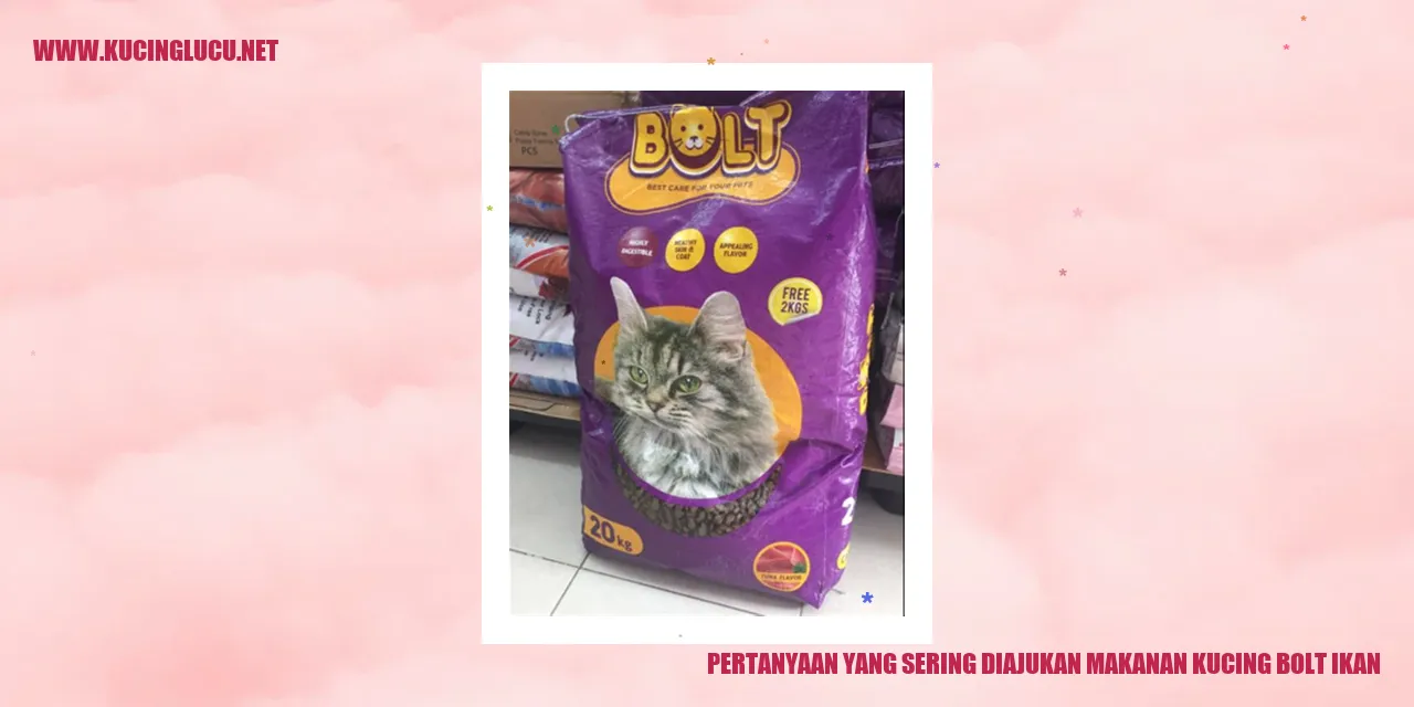 Ilustrasi makanan kucing bolt ikan