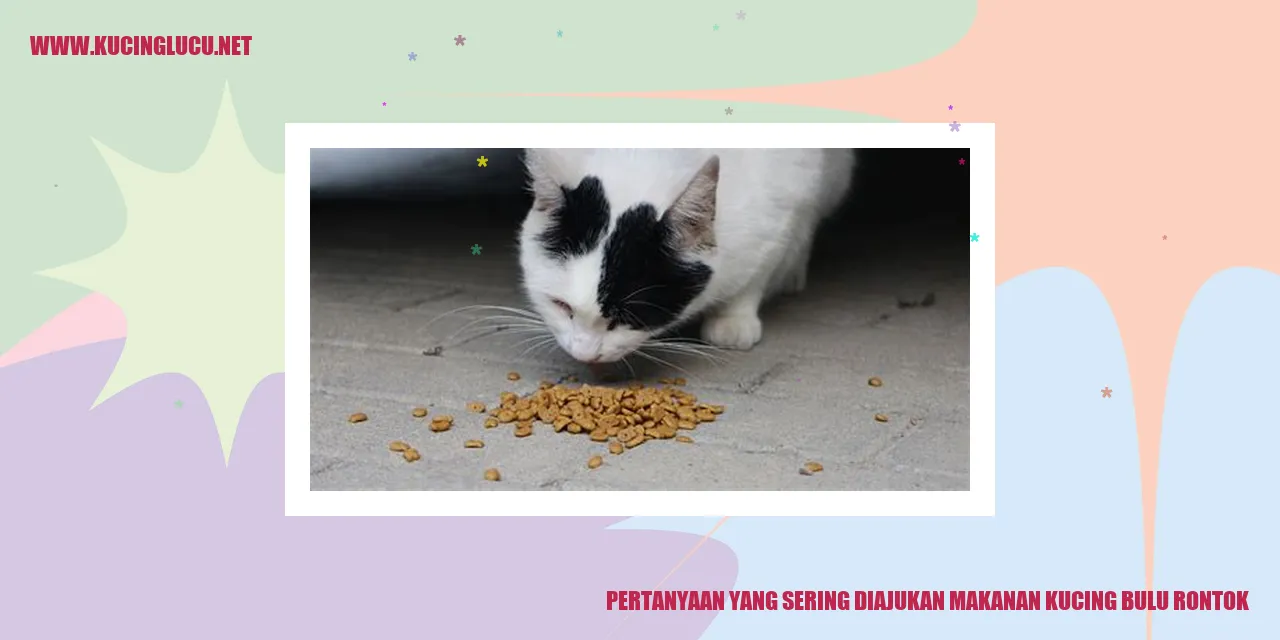 Pertanyaan yang Sering Diajukan makanan kucing bulu rontok