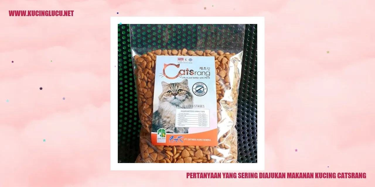 Pertanyaan yang Sering Diajukan tentang Makanan Kucing Catsrang
