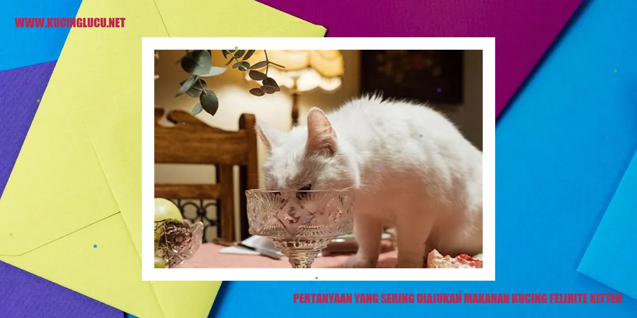 Makanan Kucing Felibite Kitten