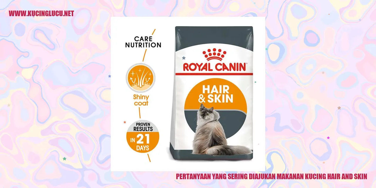 Kucing