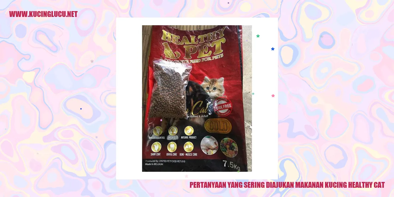 Ilustrasi Kucing Sehat