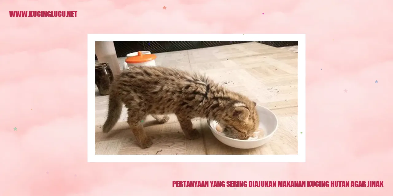 Gambar Ilustrasi Pertanyaan yang Sering Diajukan terkait Makanan untuk Menjinakkan Kucing Hutan