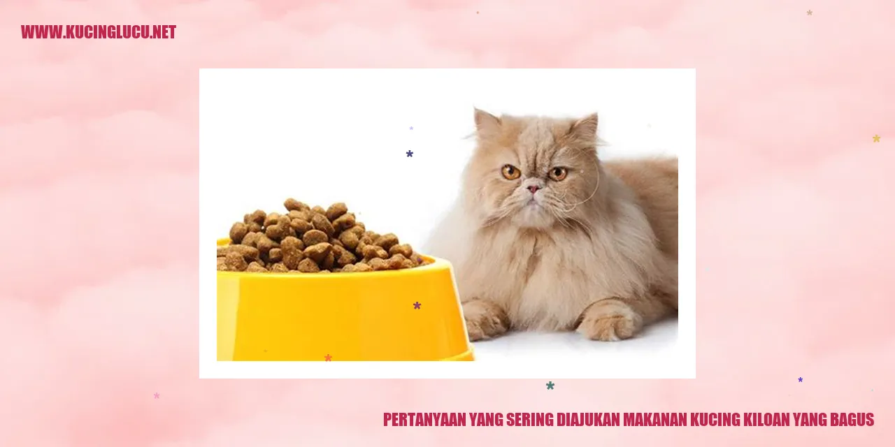 pertanyaan tentang makanan kucing kiloan yang bagus