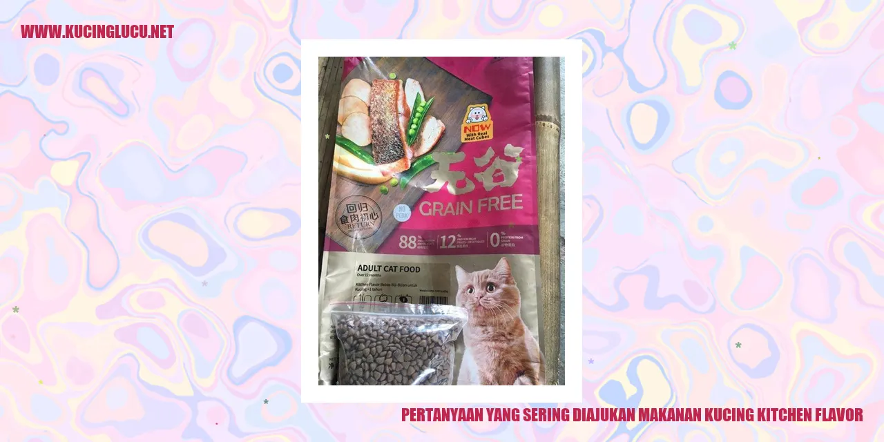 Makanan Kucing Kitchen Flavor