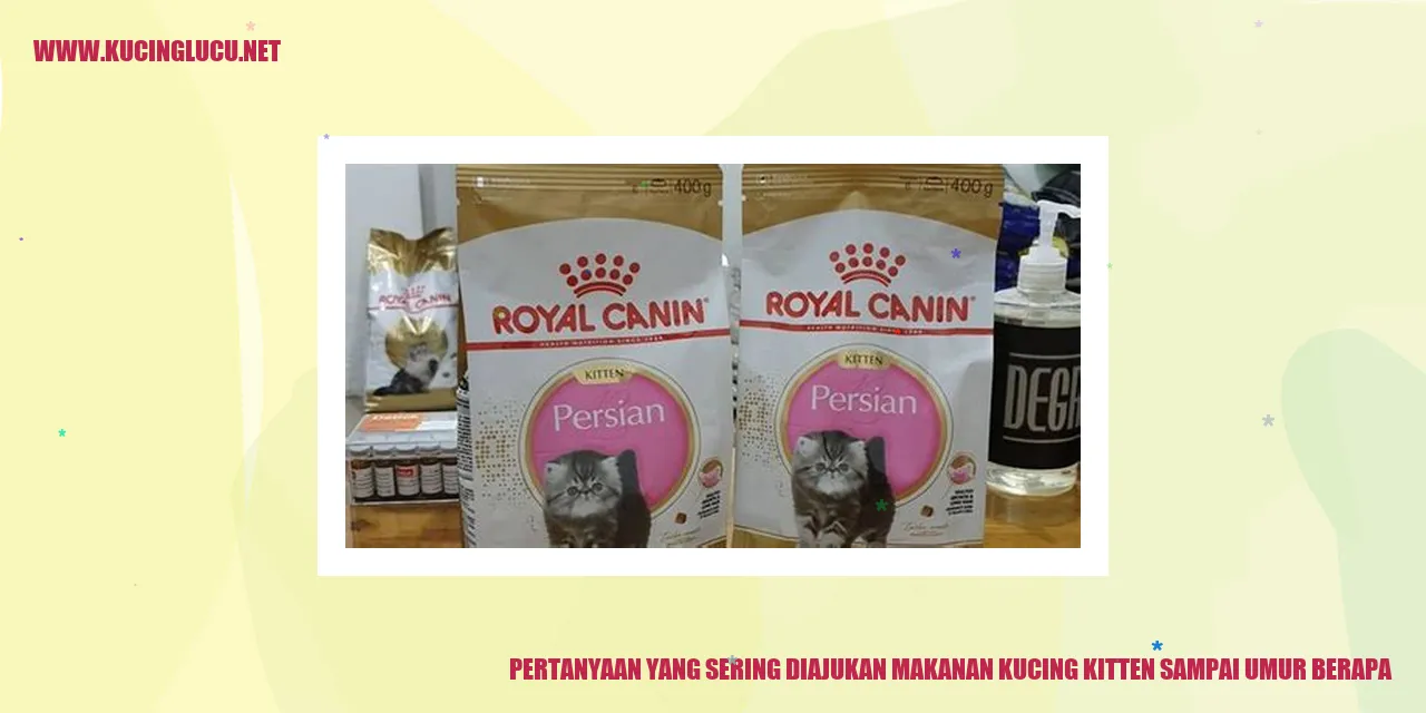Pertanyaan yang Sering Diajukan makanan kucing kitten sampai umur berapa