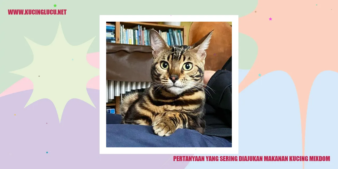 Pertanyaan Populer Mengenai Makanan Kucing Mixdom
