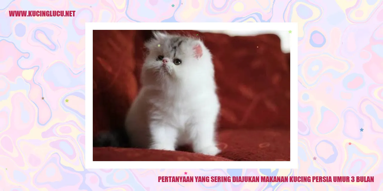 Makanan Kucing Persia Umur 3 Bulan