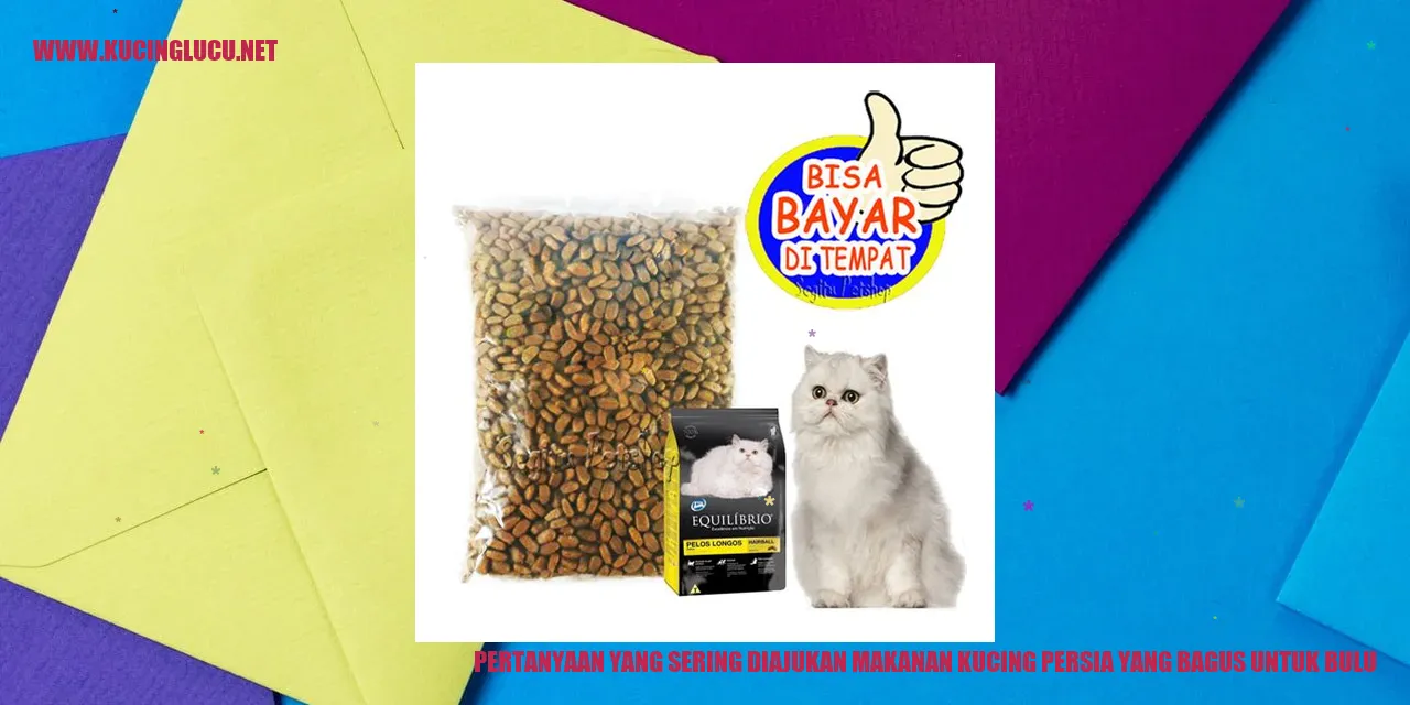 Pertanyaan yang Sering Diajukan mengenai Makanan Kucing Persia yang Bagus untuk Bulu