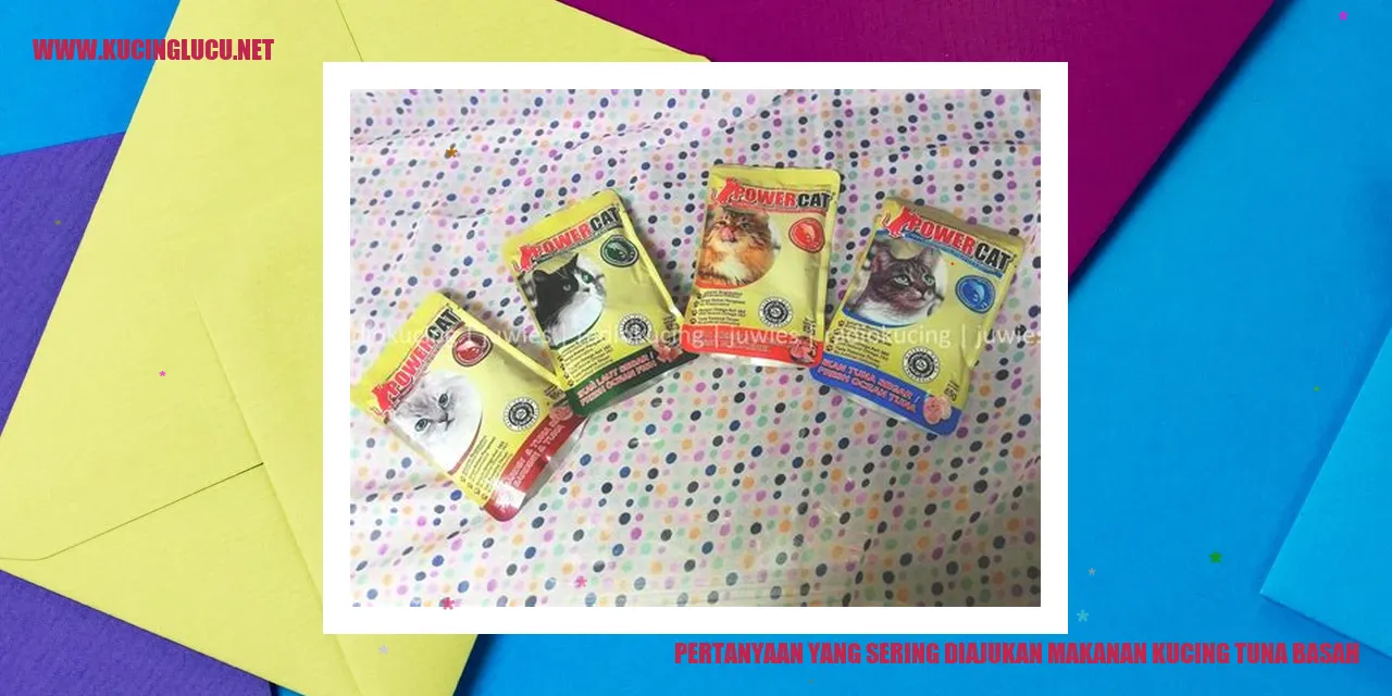 Gambar Kucing