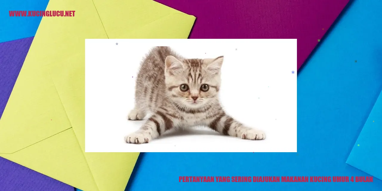 Gambar Makanan Kucing