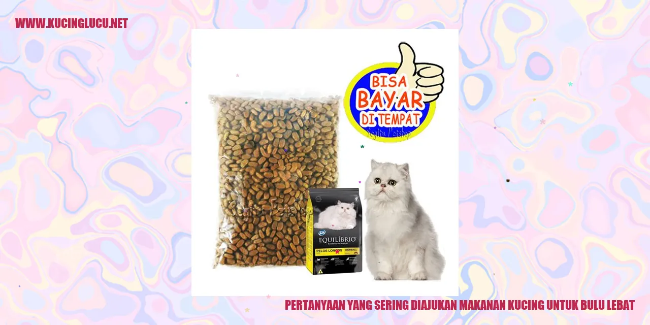 Kucing dengan bulu lebat