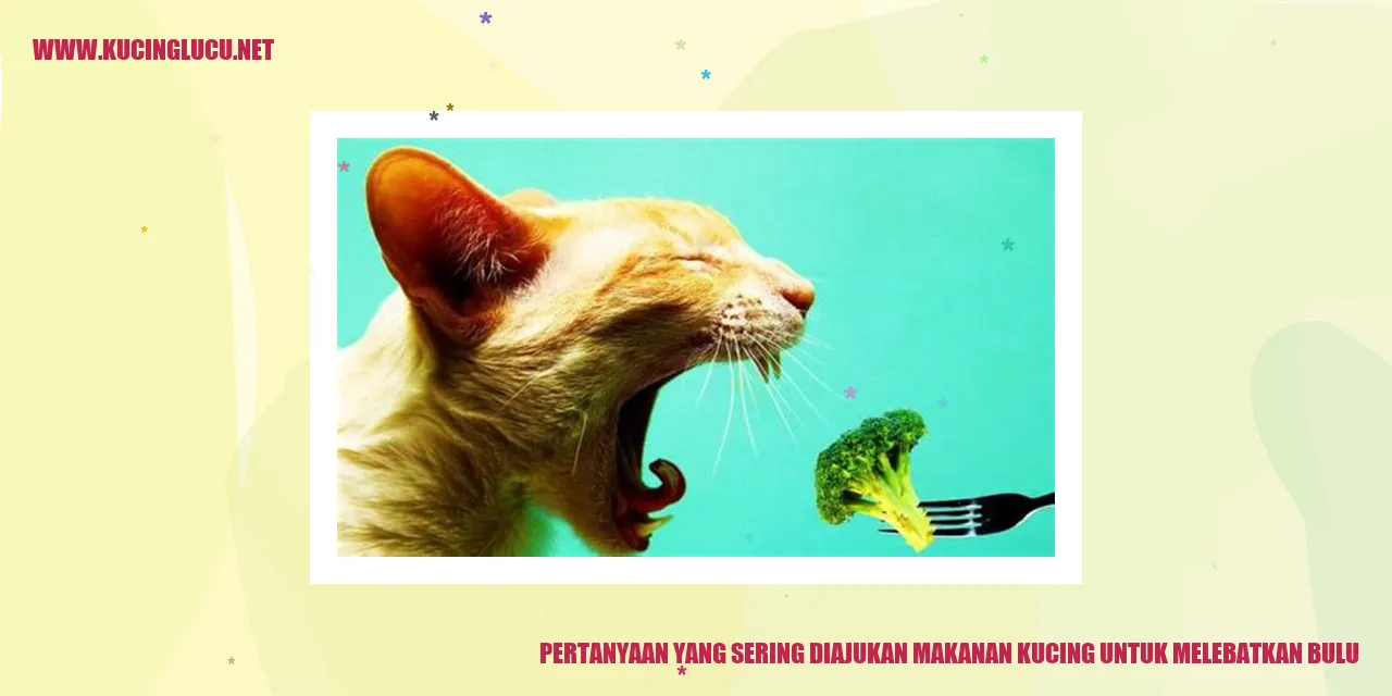 Seekor Kucing dengan Bulu yang Lebat