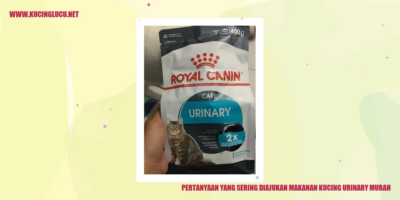 Makanan Kucing Urinary Murah