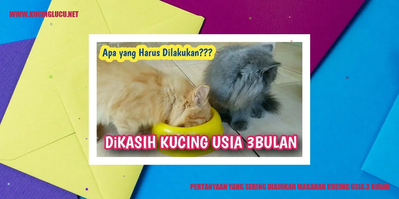 Makanan Kucing Usia 3 Bulan