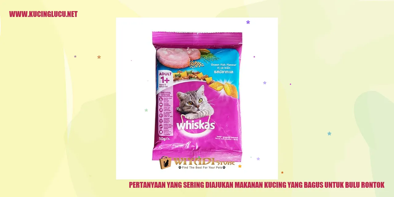 Pertanyaan yang Sering Diajukan tentang Makanan Kucing yang Bagus untuk Bulu Rontok