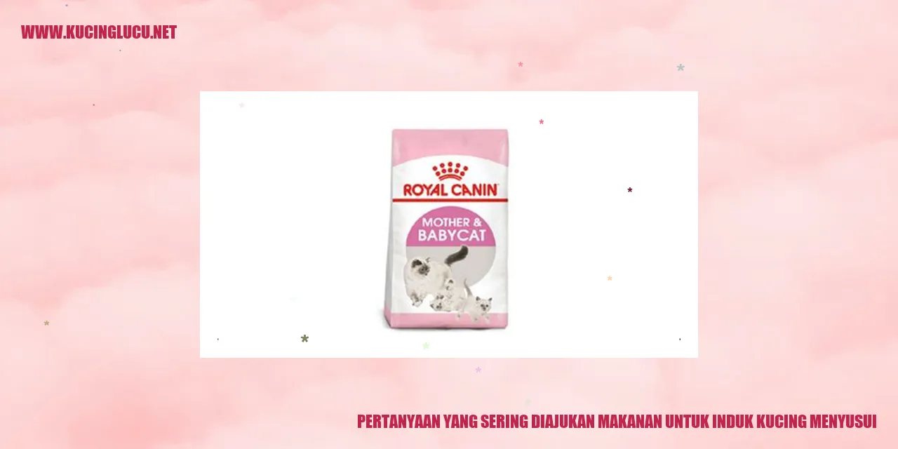 Induk kucing menyusui