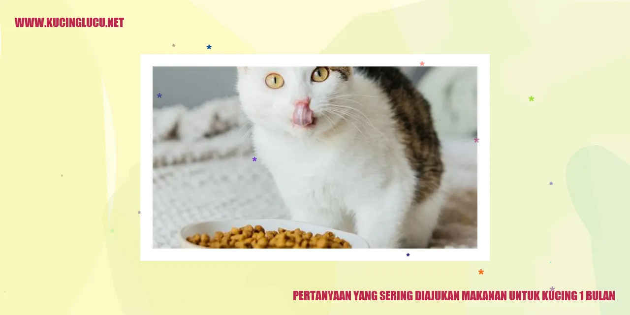 Pertanyaan yang Sering Diajukan makanan untuk kucing 1 bulan