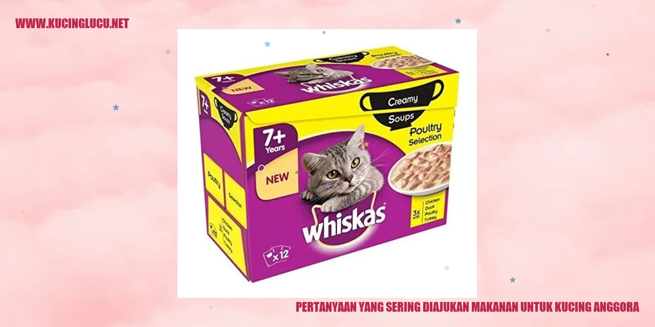 Pertanyaan yang Sering Diajukan tentang Makanan untuk Kucing Anggora