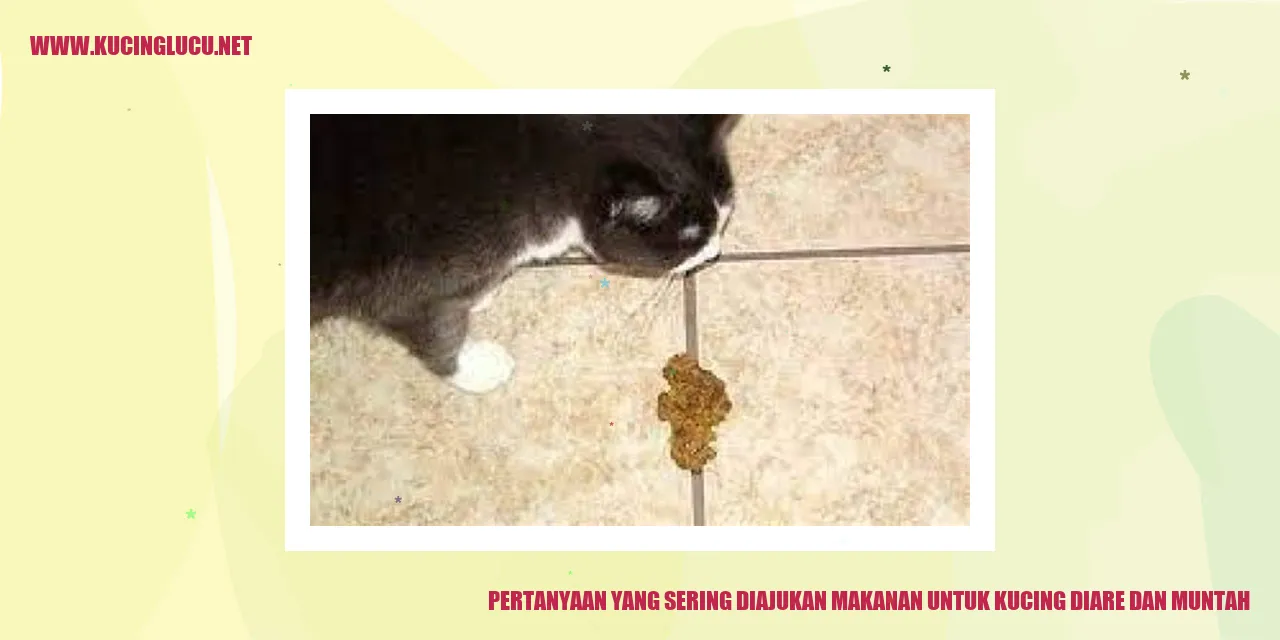 Gambar Kucing dengan Diare dan Muntah