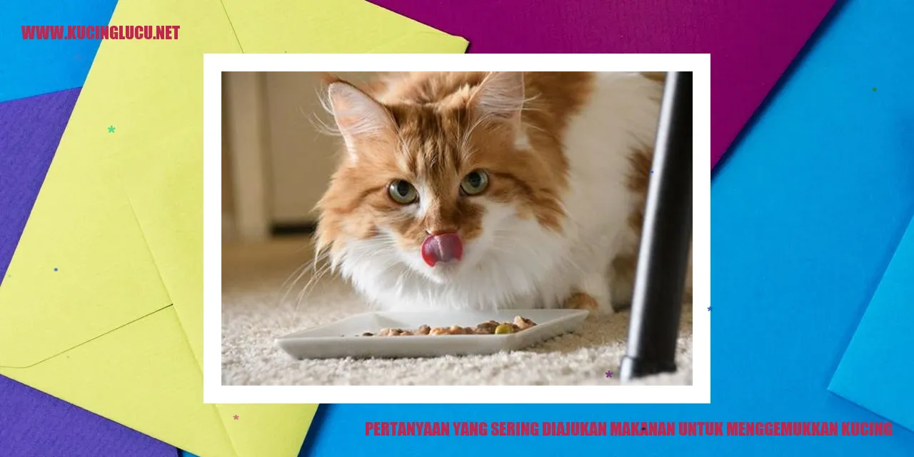 Gambar Kucing Gemuk