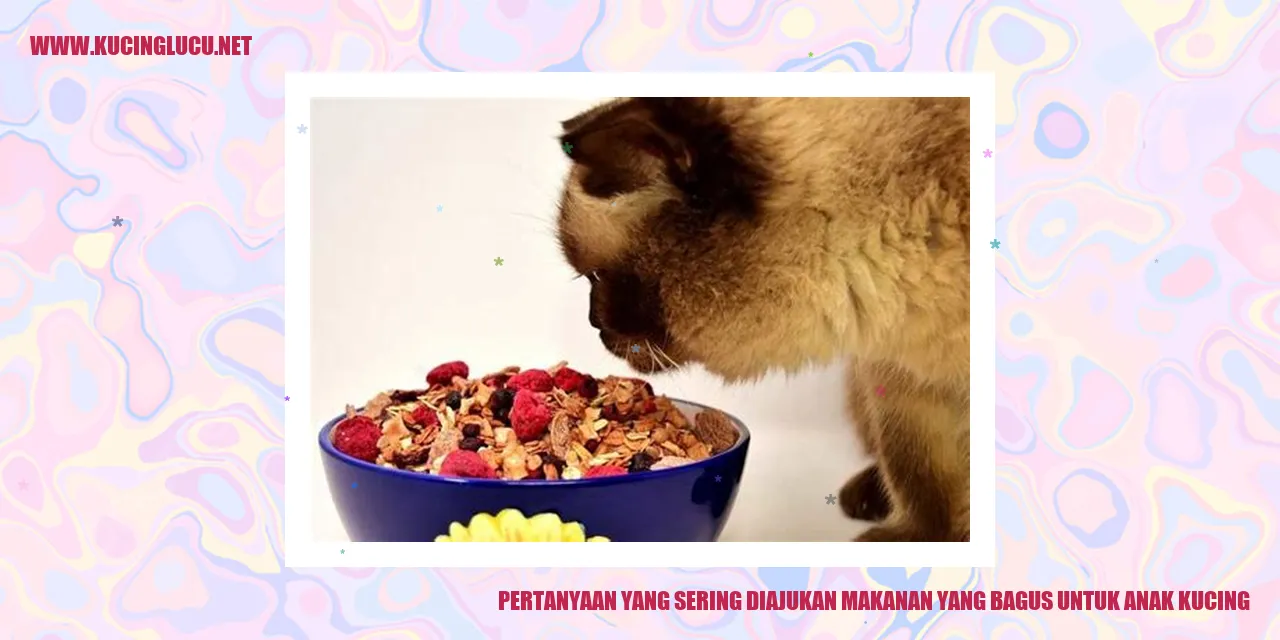 Gambar Anak Kucing yang Menggemaskan