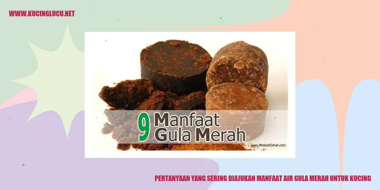 Gambar Kucing