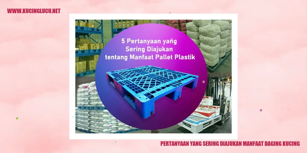 Pertanyaan yang Sering Diajukan manfaat daging kucing