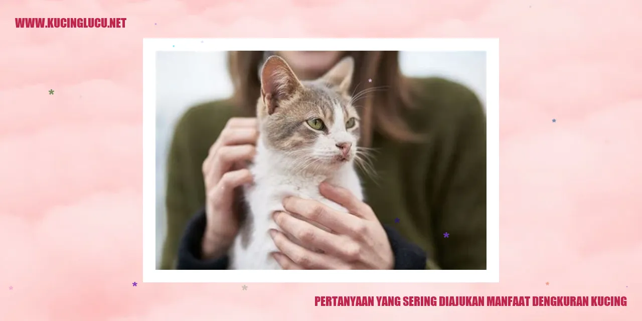 Dengkuran Kucing